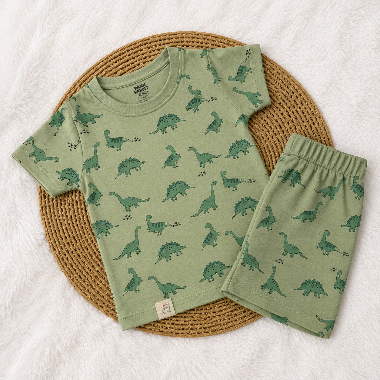 Baby Boy Sets - Green Dino