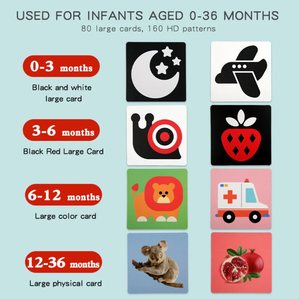 Set of Four Baby Visual Stimulus Cards