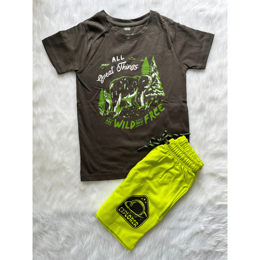 Boy's T-Shirt and Shorts Set - Green All great things