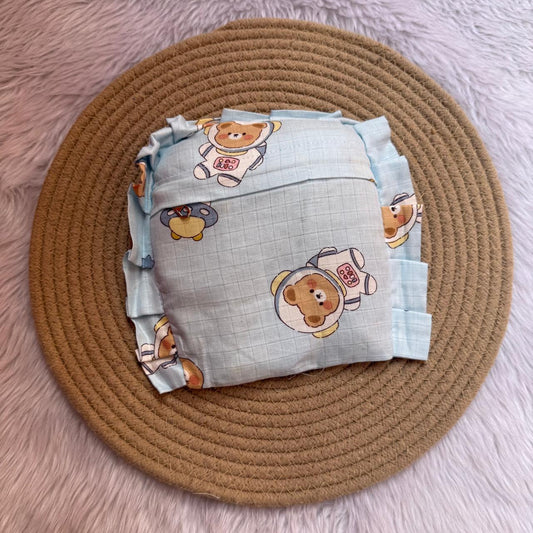 Baby Seed Pillow - Blue Teddy